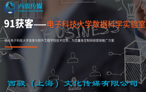 金山区产品软文营销哪家更专业？CMS网助您脱颖而出！